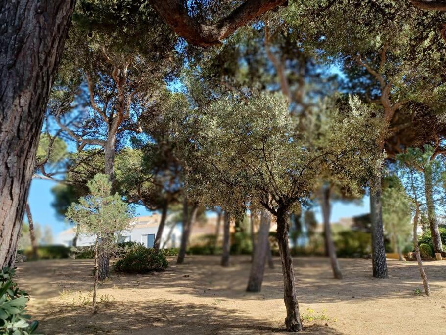 Apartamento Roc Mar Llafranc Exterior foto