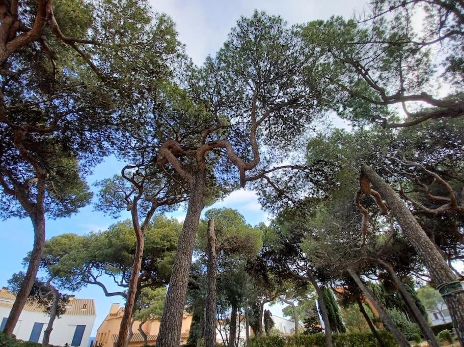 Apartamento Roc Mar Llafranc Exterior foto